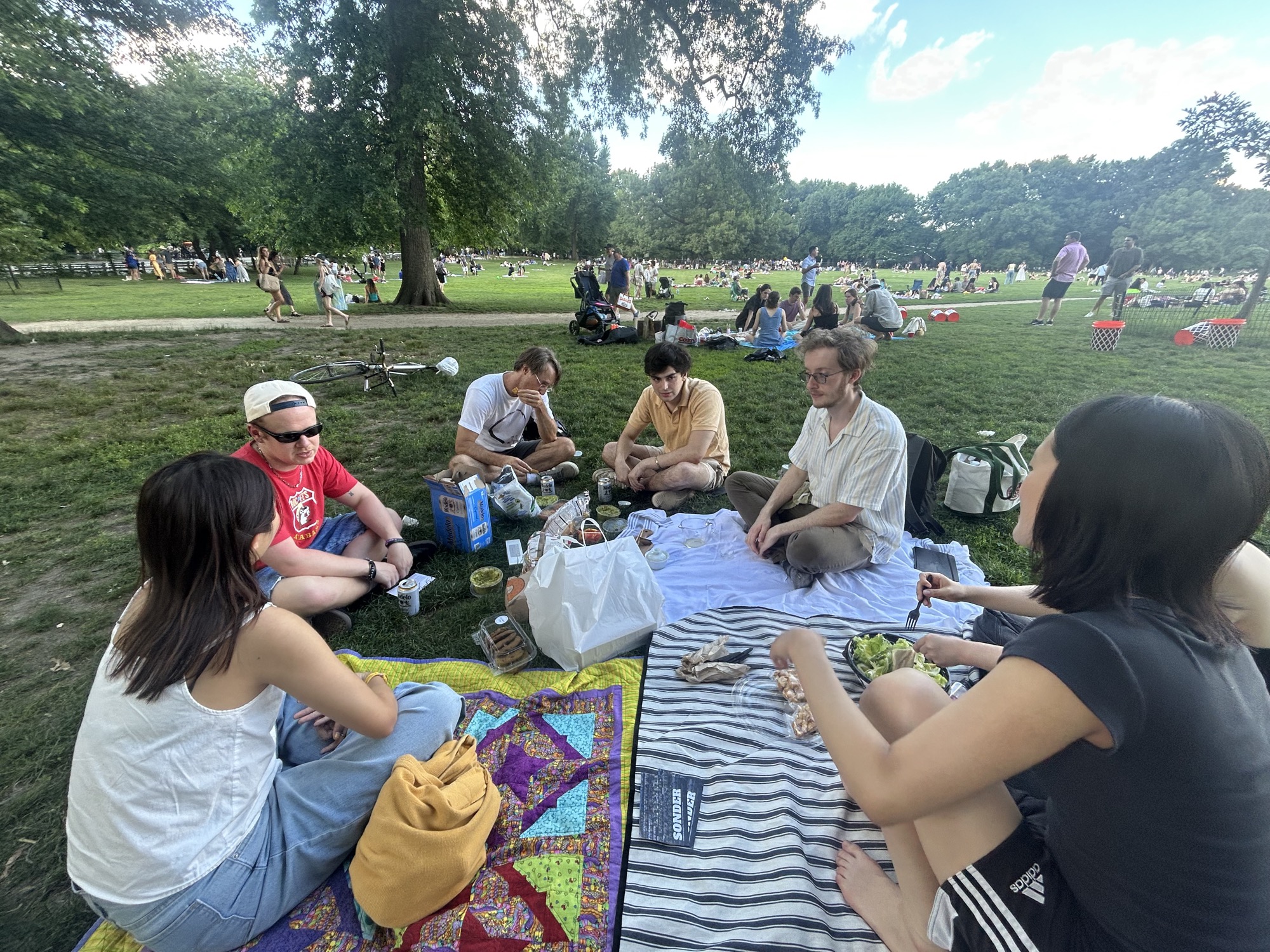 The potluck spread — friends around blankets of food in the park